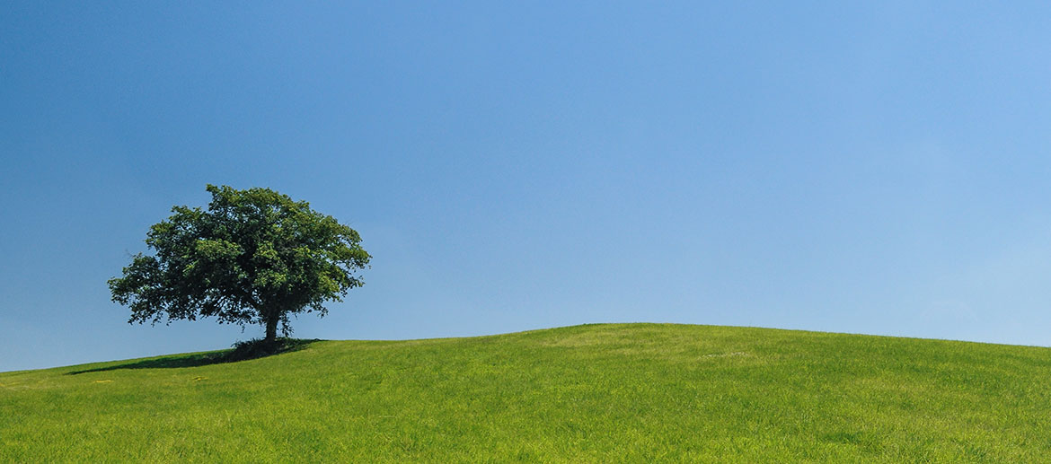 Wärme füür miis dehei