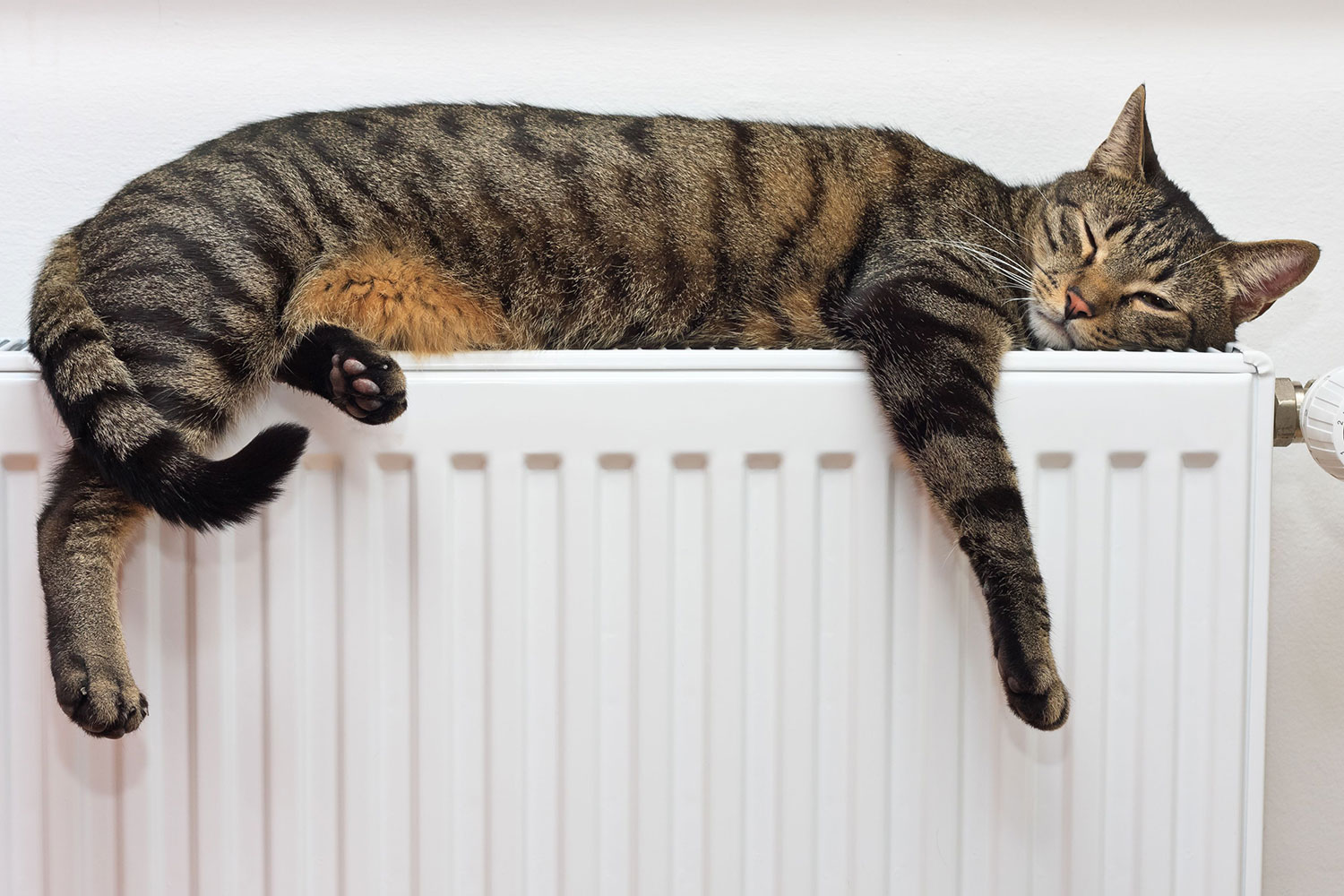 Umsteigen leicht gemacht